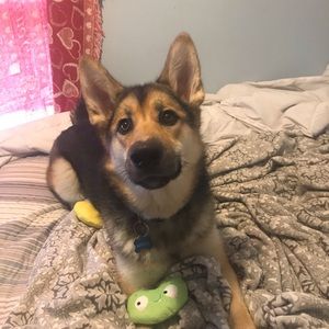 Meet your Posher, Jenna